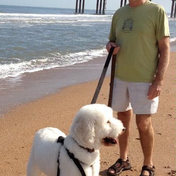 Paws-itively Affordable Pet Care - Pet Sitting Near Me - Trenton, Florida Paws-itively Affordable Pet Care - Pet Sitting Near Me - Trenton, Florida