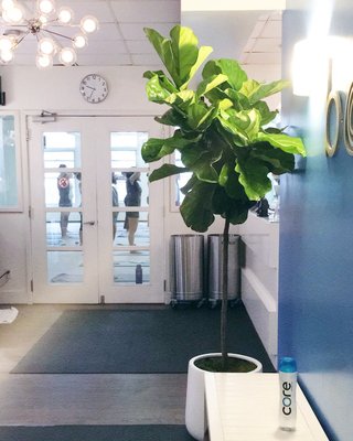 bodē nyc Flatiron - Original Hot Yoga by null