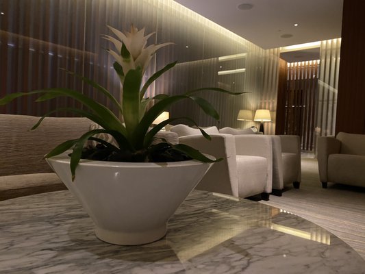 ARIA Spa & Salon by null