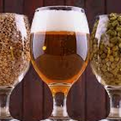 Bosagrape Winery & Brew Supplies