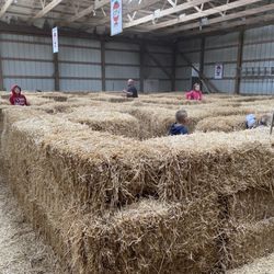 Bauman Orchards - Straw maze