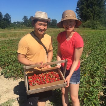 Harvold Berry Farm - ~6.5 Lbs of strawberries - Pick Your Own Farms Near Me - Carnation, Washington Harvold Berry Farm - ~6.5 Lbs of strawberries - Pick Your Own Farms Near Me - Carnation, Washington
