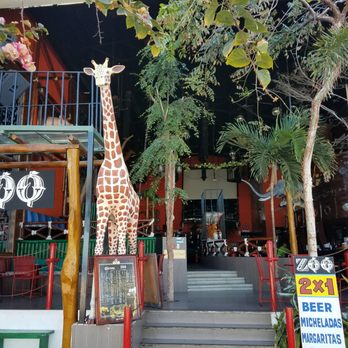 Zona Romantica - Local Flavor Near Me - Puerto Vallarta, JAL