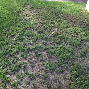 Bemus Landscape - 624 Hilvanar Nov2014 - Landscaping Near Me - San Clemente, California