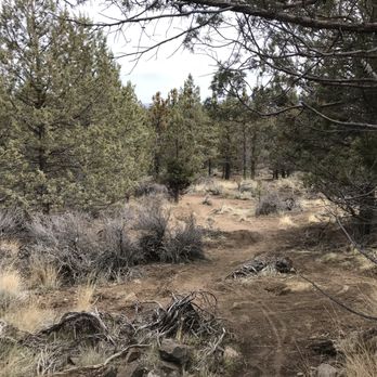 Hillside Park - On leash area - Parks Near Me - Bend, Oregon