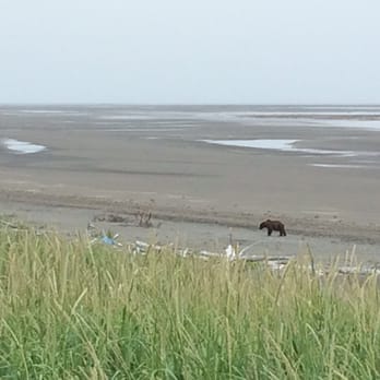 Sasquatch Alaska Adventure Co - Tours Near Me - Homer, Alaska Sasquatch Alaska Adventure Co - Tours Near Me - Homer, Alaska