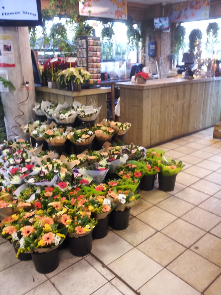 BEAUTIFUL FLOWER SHOP Updated July 2024 Pleinweg 156172, Rotterdam