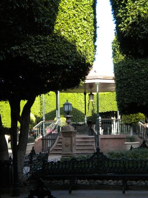 Jardín Allende by null