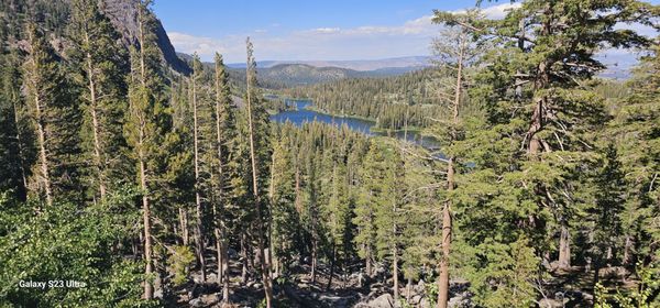 Juniper Springs Lodge by null