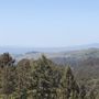 Photo of Tower Hiking Trail