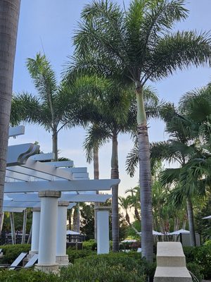 Marriott's Lakeshore Reserve by null