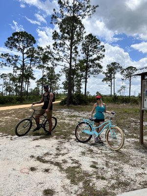 Highlands Hammock State Park by null