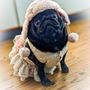 Photo of Raintree Veterinary Center