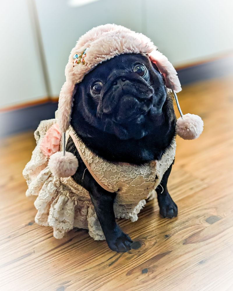 RAINTREE VETERINARY CLINIC Updated October 2024 34 Photos & 38