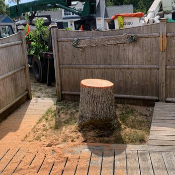 Johnson Tree Services - Tree Services Near Me - Yarmouth, Massachusetts Johnson Tree Services - Tree Services Near Me - Yarmouth, Massachusetts