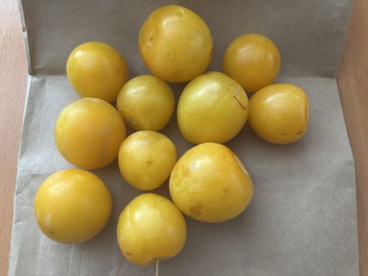 Tonnemaker Valley Farm & Woodinville Farm Stand by null