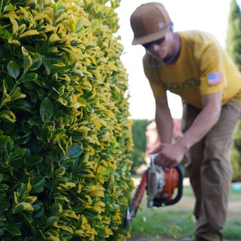 Augusta Lawn Care - a man trimming a hedge - Landscaping Near Me Augusta Lawn Care - a man trimming a hedge - Landscaping Near Me