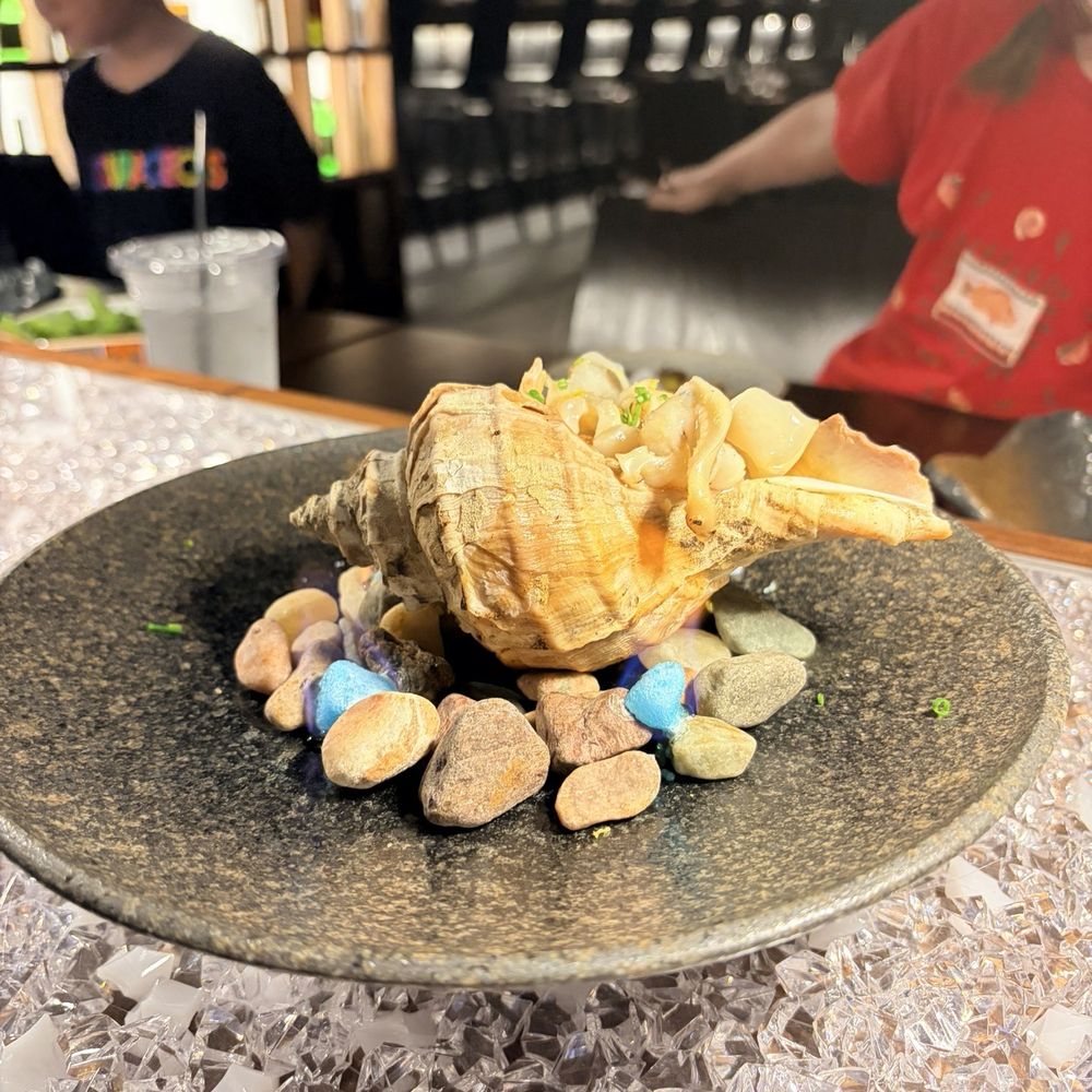 Hachi - Whelk - I wouldn't get this again. Beautiful presentation but fishy. - Japanese Near Me - Houston, Texas