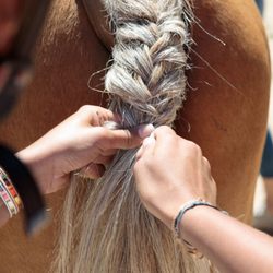Horse Riding - Teaching how to dress up the horse before the ride
