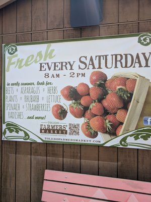 Toledo Farmers' Market by null