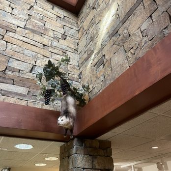 Giant City State Park - Parks Near Me - Makanda, Illinois Giant City State Park - Parks Near Me - Makanda, Illinois