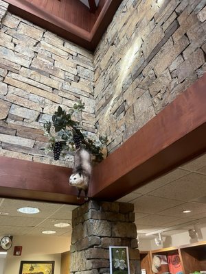 Giant City State Park by null