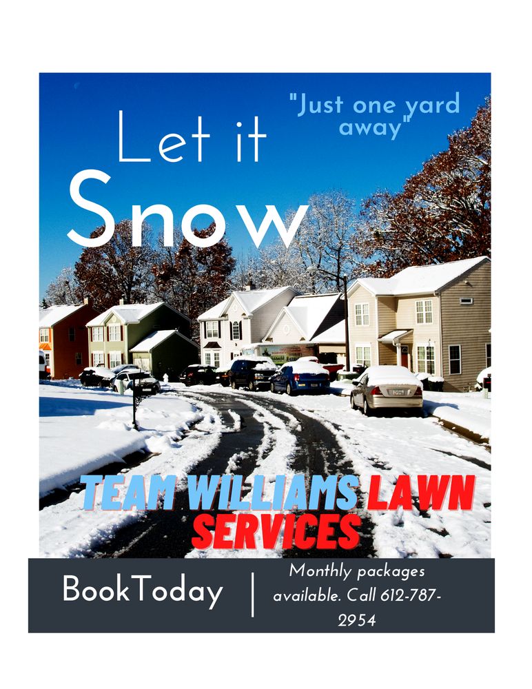 Team Williams Lawn & Snow Services - tree service in Minneapolis, MN