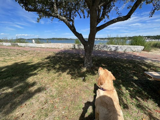 Bathing Beach by null