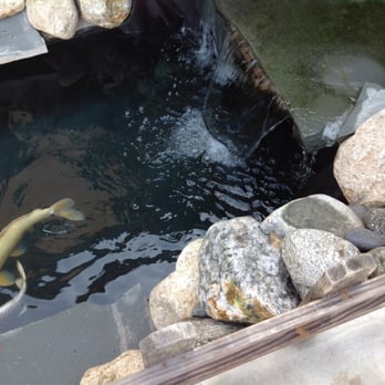 On Golden Pond - The waterfall. - General Contractors Near Me - Santa Monica, California