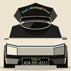 Tezla Driving School