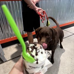 Jeremiah's Italian Ice - Best pup cups around!!