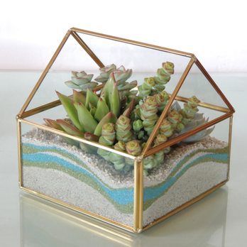 Succulently Urban - Florists Near Me Succulently Urban - Florists Near Me
