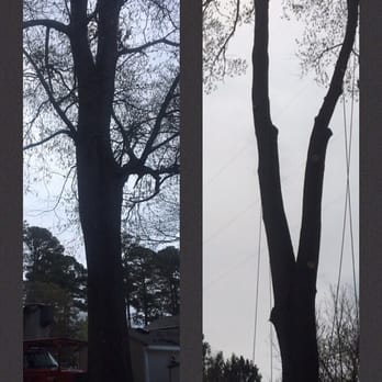 Against The Grain Tree Services - Cleaning up before the big cuts. #notchNwatch - Tree Services Near Me - Hampton, Virginia Against The Grain Tree Services - Cleaning up before the big cuts. #notchNwatch - Tree Services Near Me - Hampton, Virginia