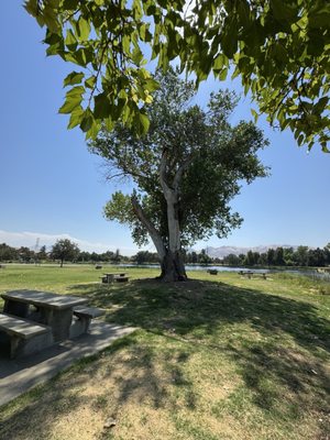 Avocado Lake Park by null