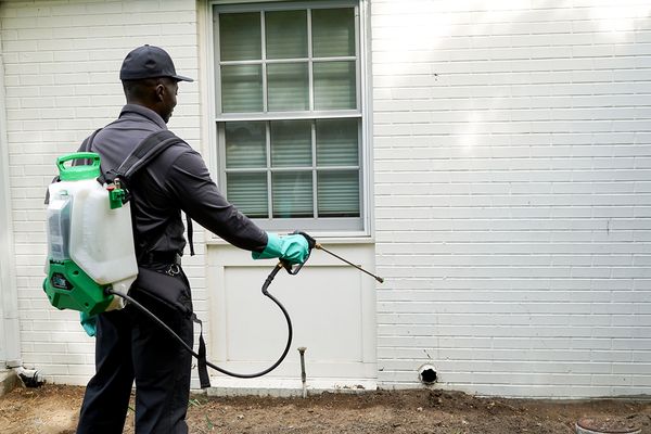 Hawx Pest Control Baton Rouge