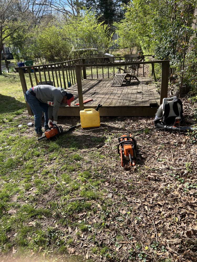 Costeno Tree Services - tree service in Atlanta, GA