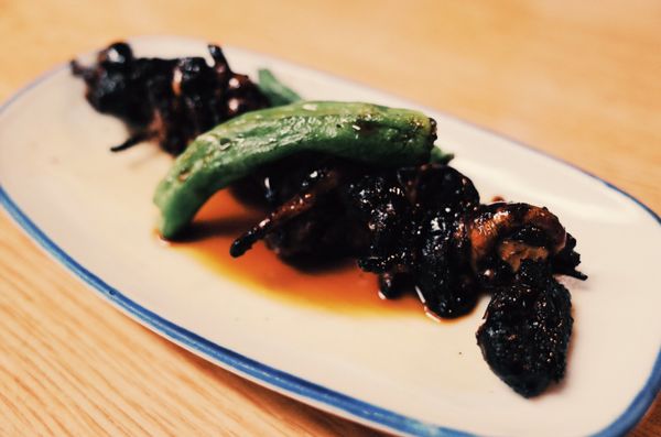 Kyogoku Kaneyo by null