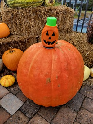 Smoky Mountain Alpine Coaster by null