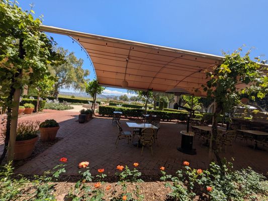 Ponte Winery by null