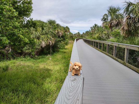 Smyrna Dunes Park by null