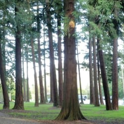 Hillcrest Park