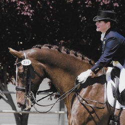 Villa Rosa Dressage