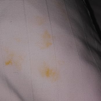 Holiday Inn Express & Suites Gainesville - Stains on duvet needless to say we went without blankets - Hotels Near Me - Gainesville, Texas Holiday Inn Express & Suites Gainesville - Stains on duvet needless to say we went without blankets - Hotels Near Me - Gainesville, Texas