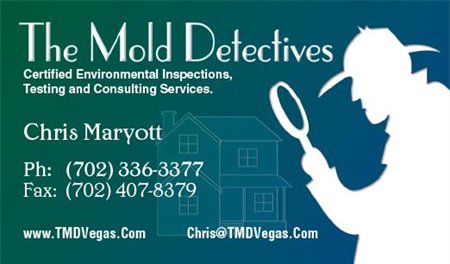 The Mold Detectives - mold inspector in Las Vegas, NV