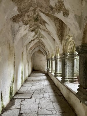 Killarney National Park by null