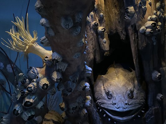 Florida Museum of Natural History by null