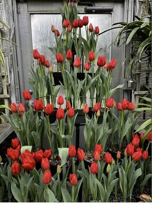 Camera Center of York