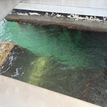 USS Arizona Memorial Programs - Ship Remains - Landmarks & Historical Buildings Near Me - Honolulu, Hawaii
