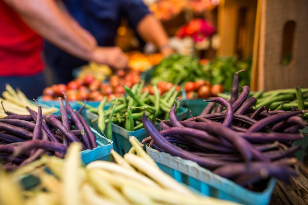 MILK HOUSE FARM MARKET Updated September 2024 27 Photos 1118