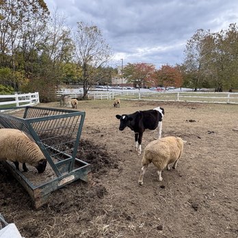 The Amish Farm and House - Historical Tours Near Me - Lancaster, Pennsylvania